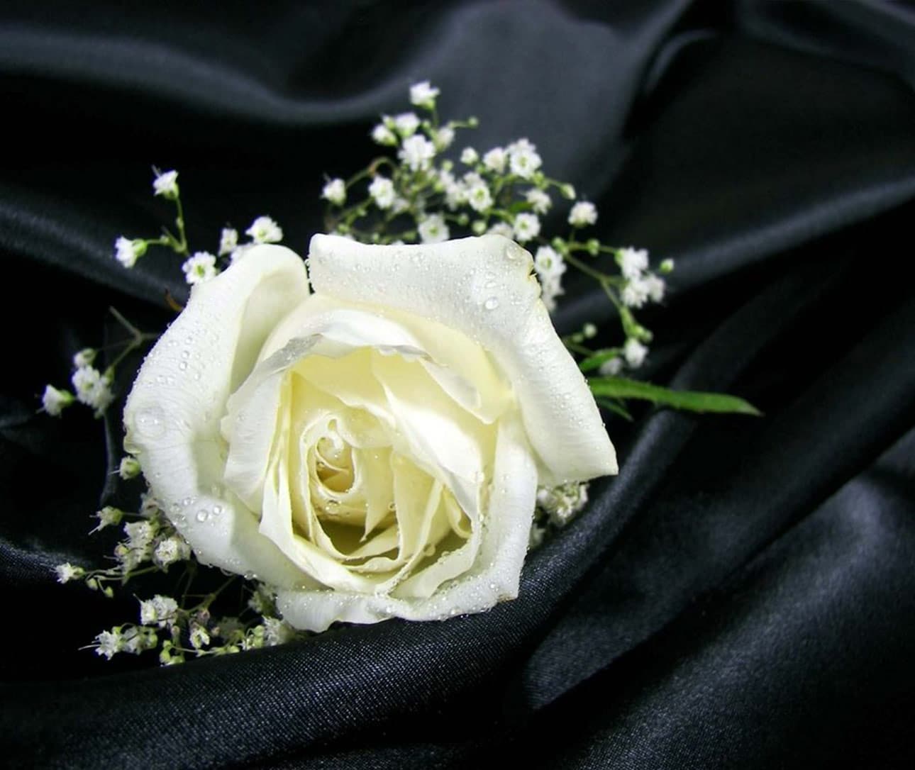 Flower On Black Silk — Newhaven Funerals in Brisbane