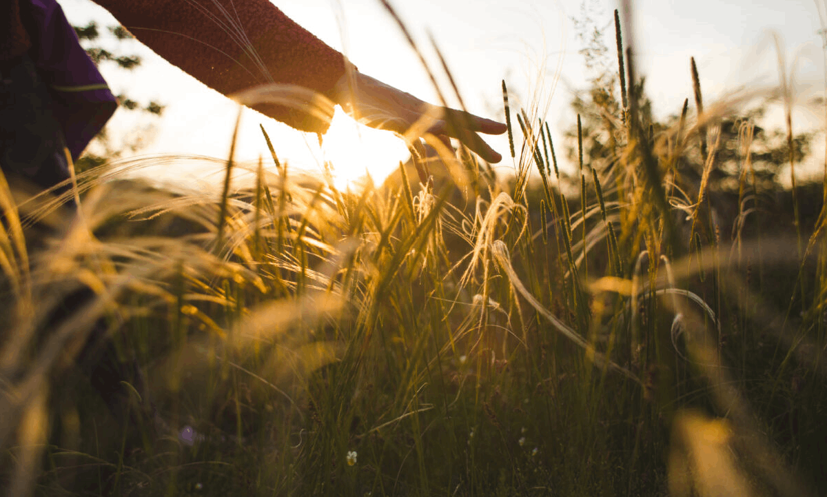 AdobeStock_448362884-1200×800