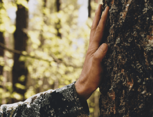 Burial or Cremation: Making the Right Choice