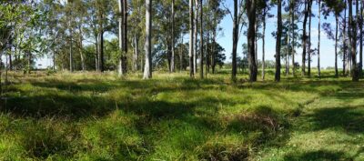 Alberton-green-cemetery-400×177
