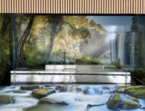 Water Cremation Brisbane & Gold Coast