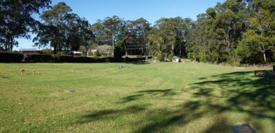 mt-tamborine-cemetery-400×193