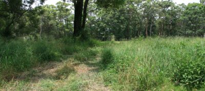 the-bushland-cemetery-400×177