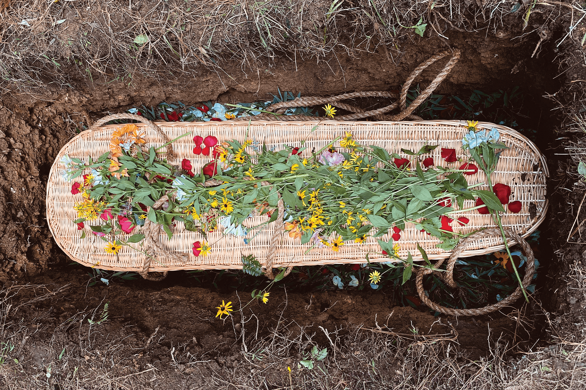 Funeral Support - Newhaven Funerals