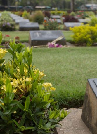 Plant Next To Grave — Newhaven Funerals in Brisbane