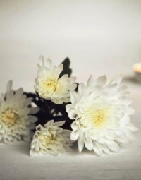 Candle And White Flowers — Newhaven Funerals in Logan, QLD