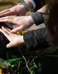 Hands Touching Urn — Newhaven Funerals in Brisbane