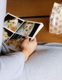 Woman Holding Images Of Pet — Newhaven Funerals Pet Cremation