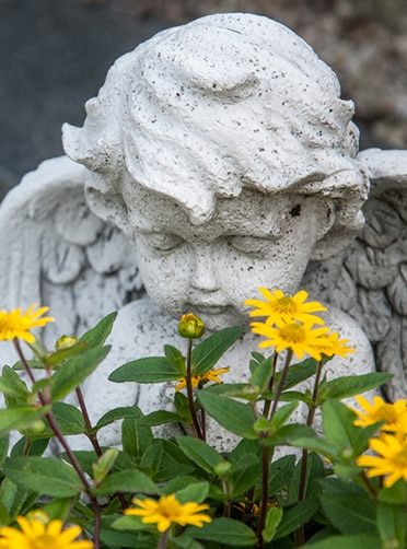 Angel and Flower on Grave — Newhaven Funerals in Brisbane