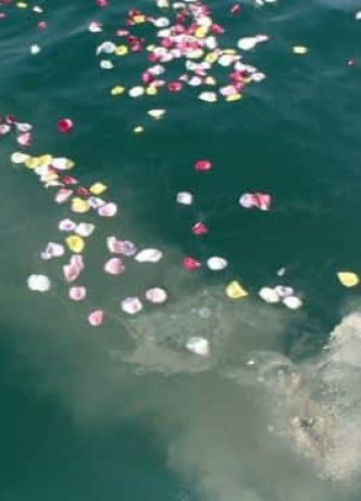 Scattering Ashes In The Ocean — Newhaven Funerals in Brisbane