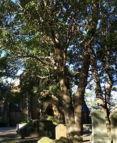 Camperdown Cemetery — Newhaven Funerals in Brisbane